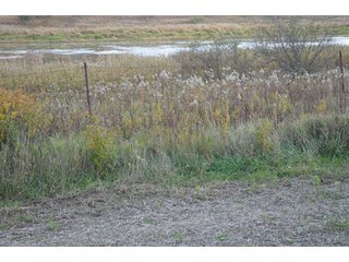 Property photo 74 - 127 Acres Offered in 8 Tracts - Allen & Dekalb County Land